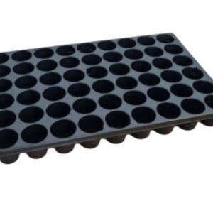 PLAQUE ALVEOLEE – Image 2