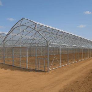 Armature de serre gothique toit ouvrant – Image 1