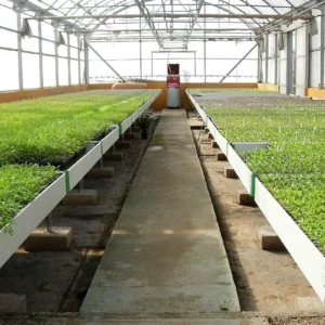 Tables de culture modulables – Image 3